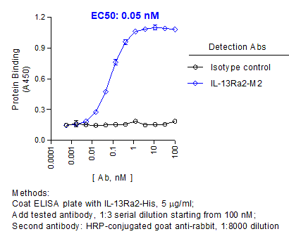 ELISA Assay